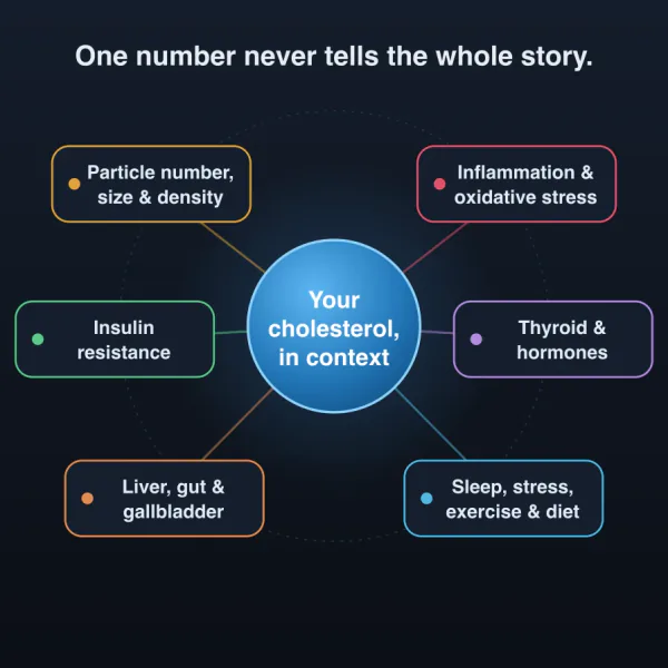 Cholesterol in Context