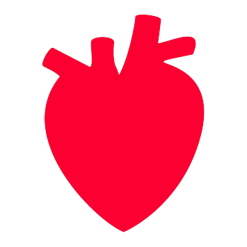 Heart Story